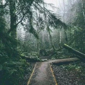 一人我两袖清风