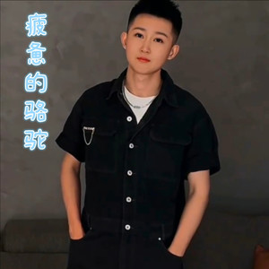 疲惫的骆驼 (DJ阿义版)