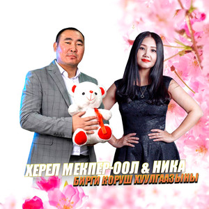 Бирги коруш хуулгаазыны