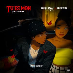Tu es Mon (feat. ProBwoy)