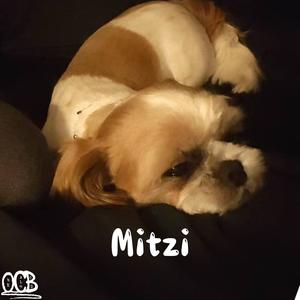 Mitzi (So Lost)