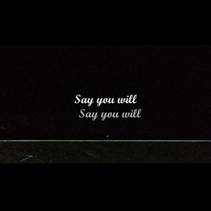 Say You Will