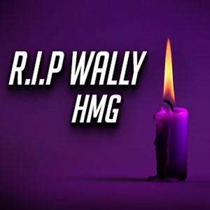 R.I.P Walter Bouterse(feat. HMG) (Explicit)