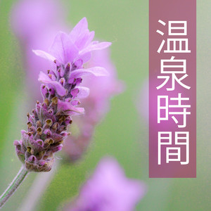 深い眠り封面