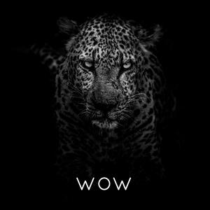 wow