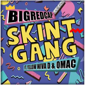 Skint Gang (Explicit)