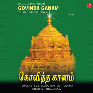 Balaji Andavenay