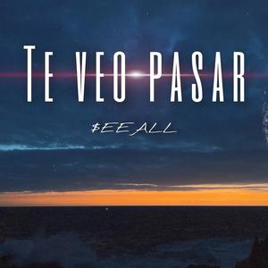 Te veo pasar (feat. benjitalkapone)