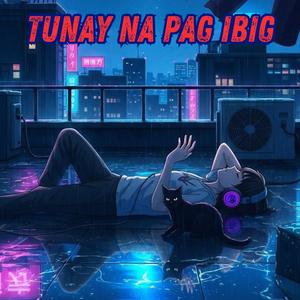 Tunay na Pag-ibig (Lofi)