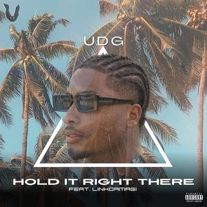 Hold It Right There (feat. Linkdamagi) (Explicit)