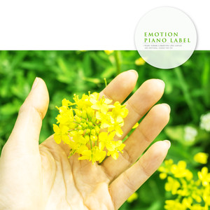 네가 주는 행복 (Your Happiness)