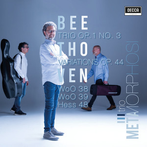 Trio Metamorphosi:Piano Trio Op. 1 N. 3 / Variations Op. 44 / WoO 38, 39 / Hess 48