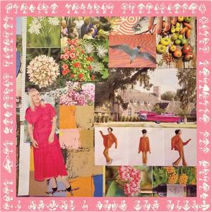 Suitor (I Hardly Know Her)