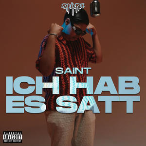 Ich hab es satt (Explicit)