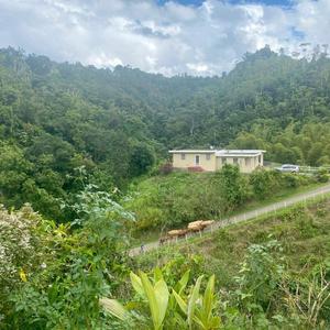 Oboi - GTOWN (Explicit)