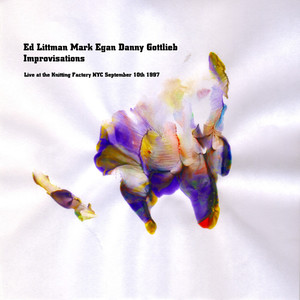 Ed Littman, Mark Egan, Danny Gottlieb- Improvisations