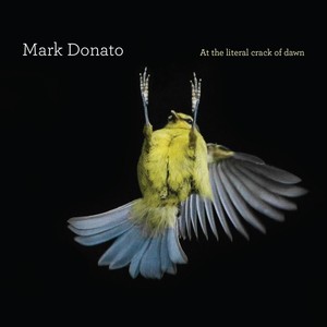 Mark Donato - Choirboy