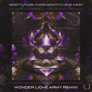Wonder (Joke Army Remix)