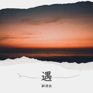 踏红尘封面