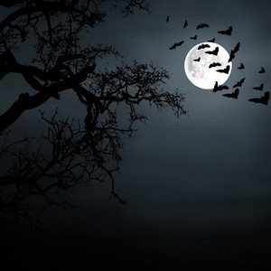 香水百合 - 周杰伦 Jay Chou - 世界末日 End of The World【DJ REMIX 伤感舞曲】