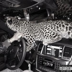 bodybags (Explicit)