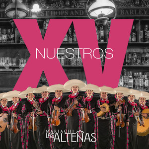 Nuestros XV