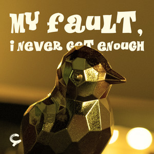 My Fault, I Never Get Enough (Explicit)