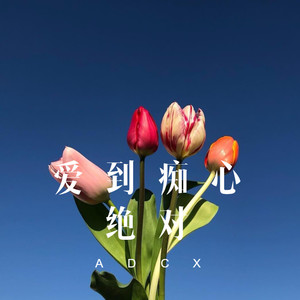 爱恋怨念 (DJ版)