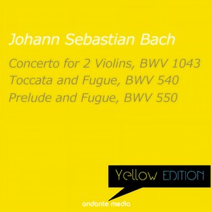 Concerto for 2 Violins in D Minor, BWV 1043 - I. Vivace