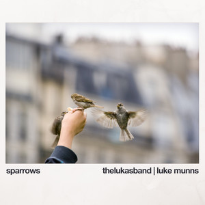 Sparrows