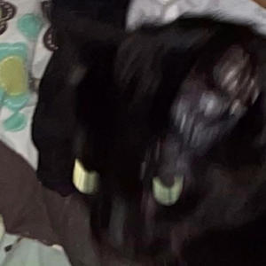 i might not wake up (feat. ugotmesickkk) (Explicit)