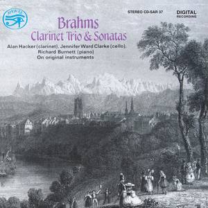 Clarinet Trio in A Minor, Op. 114 - I. Allegro (A小调单簧管三重奏，作品114 - 第一乐章 快板)