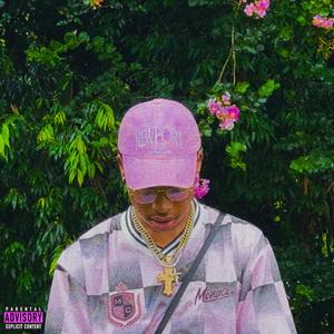 Revival Of Pink Panther (Explicit)