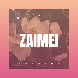 再没爱你的权利 (DJ版)