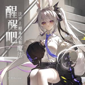 醒醒吧，这世上根本没有魔法