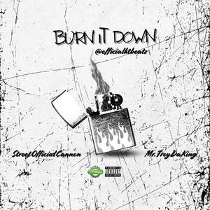 Burn It Down (feat. Mr.TroyDaKing|Explicit)