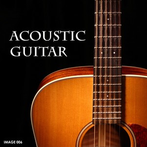 Acoustic Guitar