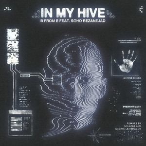 In My Hive (Schacke's Hivemind Mix)