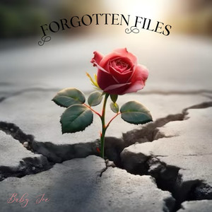 Forgotten Files (Explicit)