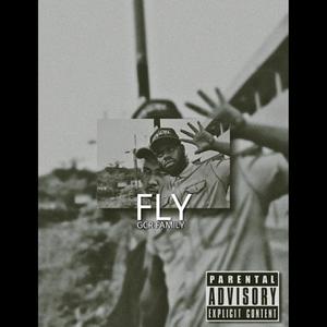 Fly (Explicit)