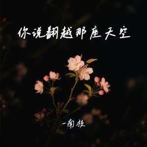 南枝 - 你说翻越那座天空