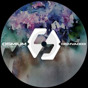 OSMVA003 (HOUSE EDITION)