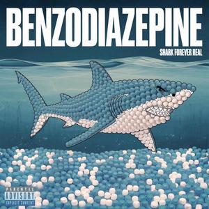 BENZODIAZEPINE (feat. 4997) [Explicit]