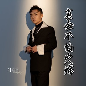 真金不怕火炼 (DJ版伴奏)