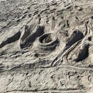 Volume Very Vigorous (feat. Cookoo) (Explicit)