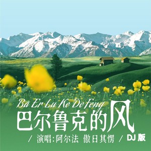 巴尔鲁克的风 (DJ版)