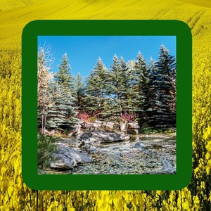 요가할 때 듣는 명상의 테라피