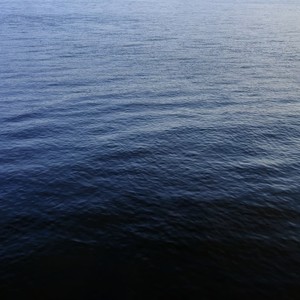 哥的冷酷 零下八度（海绵宝宝进行曲）