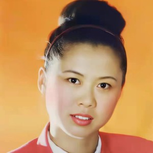 西峡我的故乡 (DJ版)