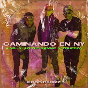 Caminando en NY (Explicit)